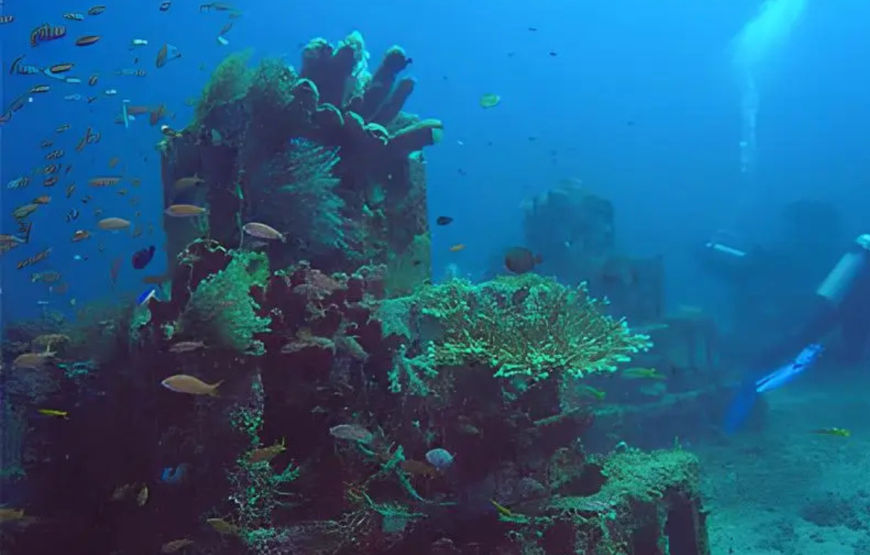 BALI SCUBA DIVING