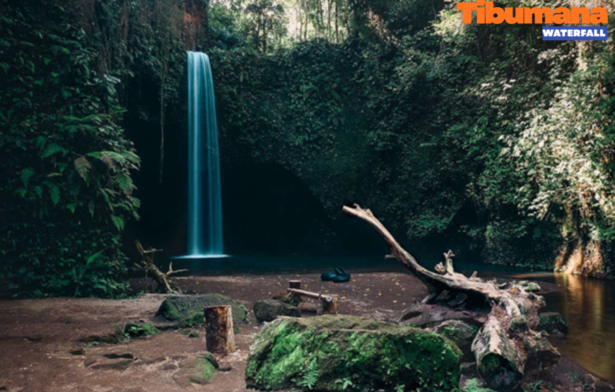 BALI WATERFALL TOUR