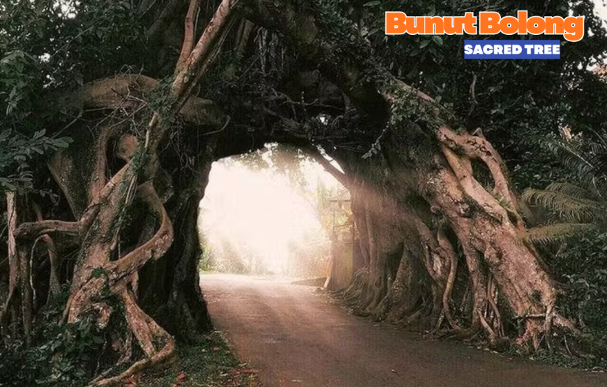 WEST BALI FULL DAY TOUR