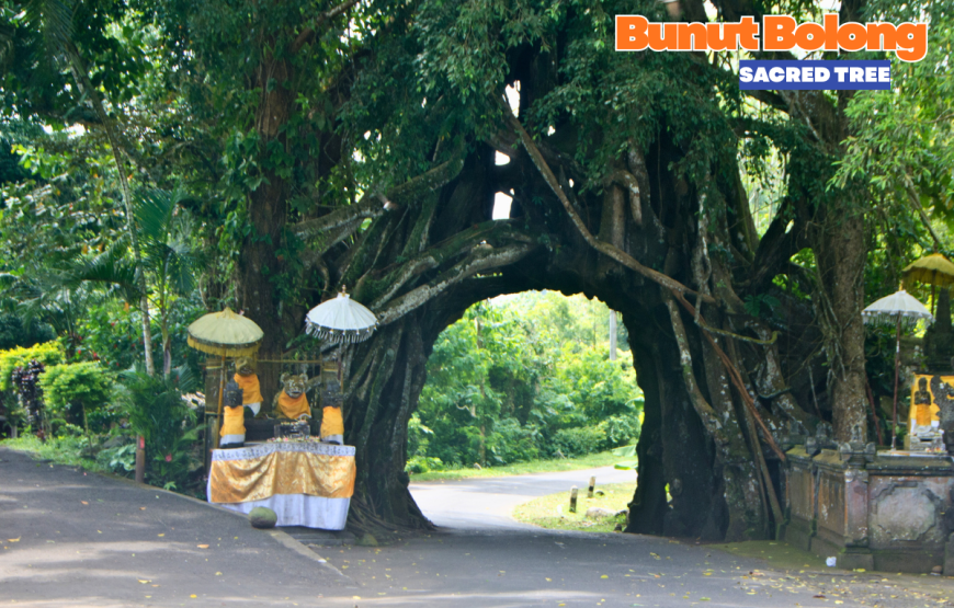 WEST BALI FULL DAY TOUR