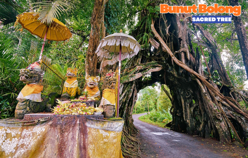 WEST BALI FULL DAY TOUR