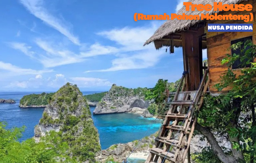 BALI EAST NUSA PENIDA TOUR