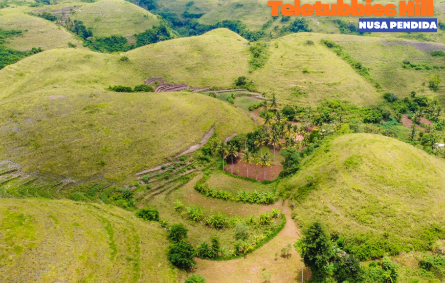 BALI EAST NUSA PENIDA TOUR