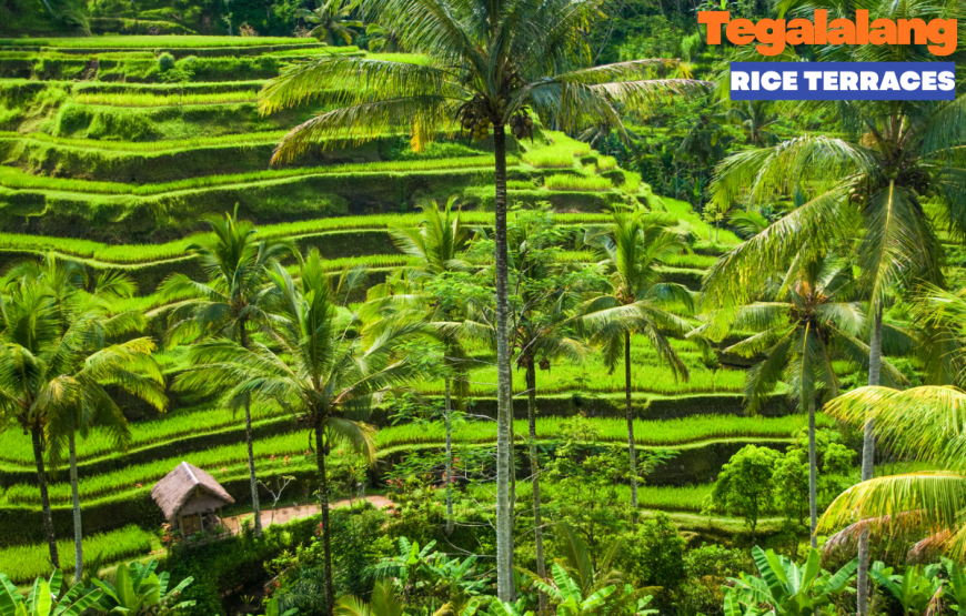 UBUD FULL DAY TOUR