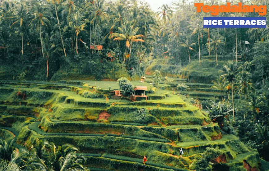 UBUD FULL DAY TOUR