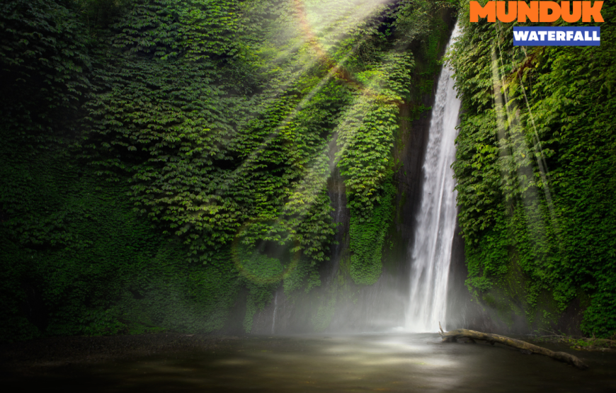 WEST BALI FULL DAY TOUR