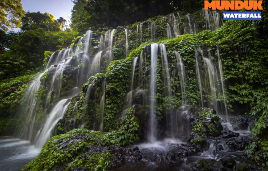 WEST BALI FULL DAY TOUR