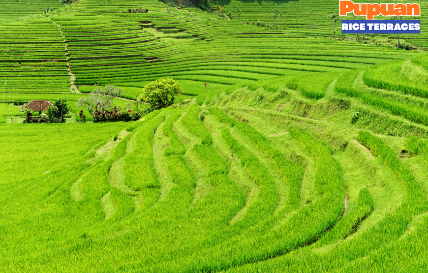 WEST BALI FULL DAY TOUR