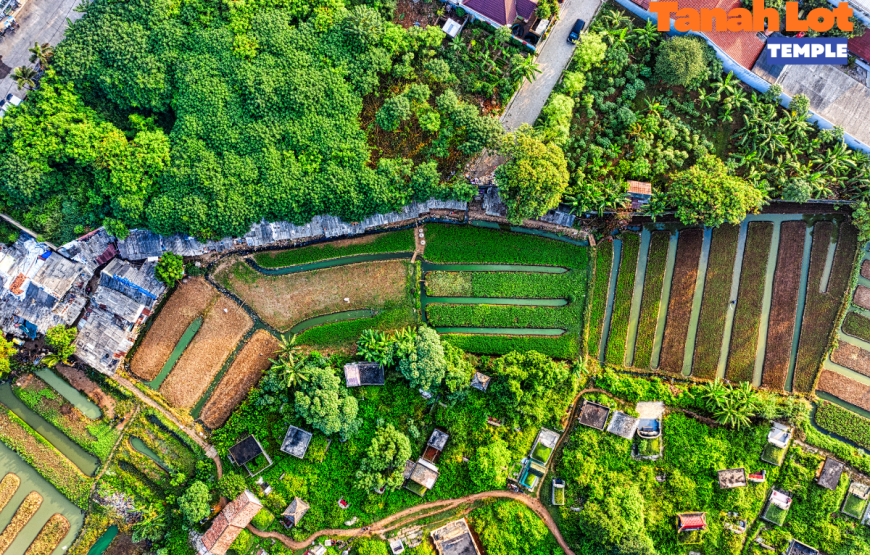TANAH LOT HALF DAY TOUR