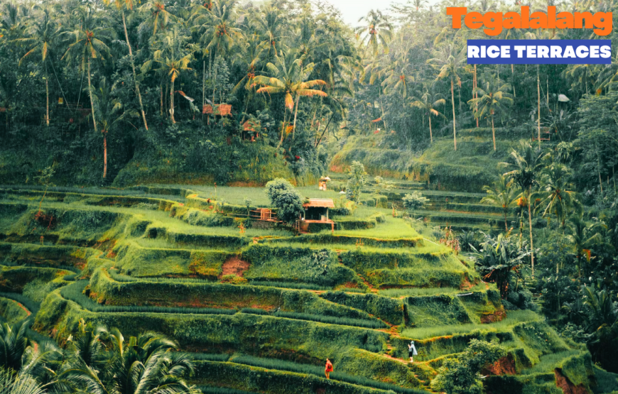 UBUD HALF DAY TOUR