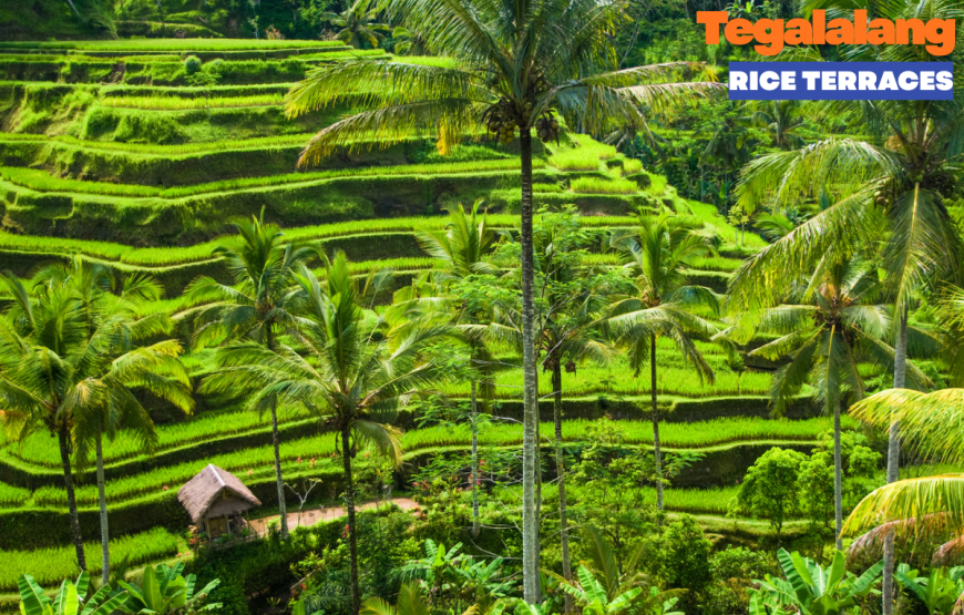 UBUD HALF DAY TOUR