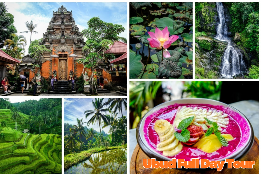 UBUD FULL DAY TOUR