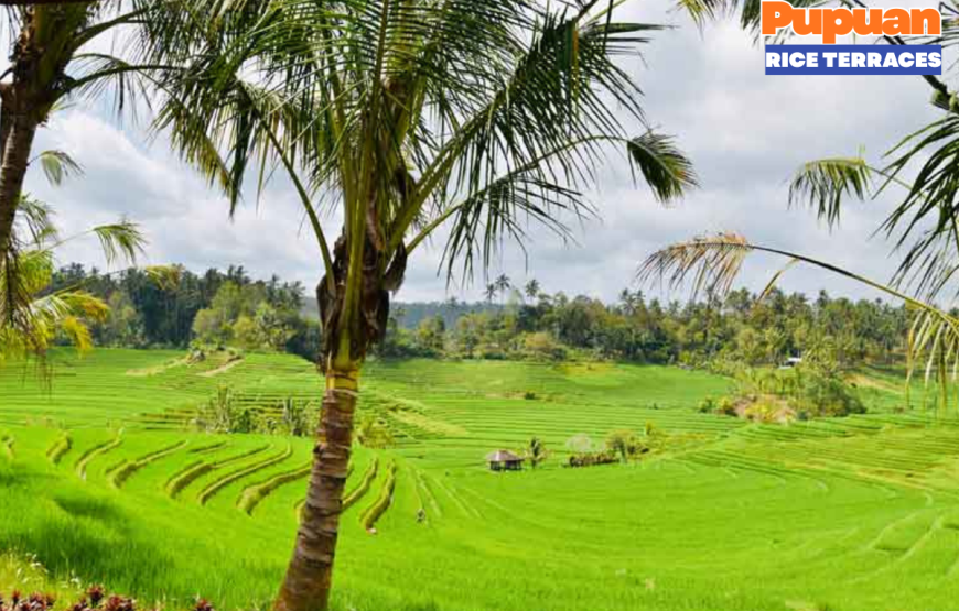 WEST BALI FULL DAY TOUR