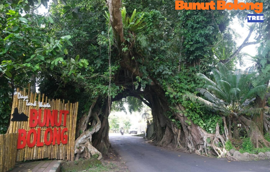 WEST BALI FULL DAY TOUR
