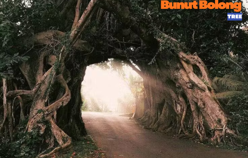 WEST BALI FULL DAY TOUR