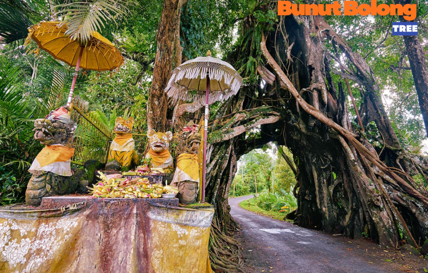 WEST BALI FULL DAY TOUR