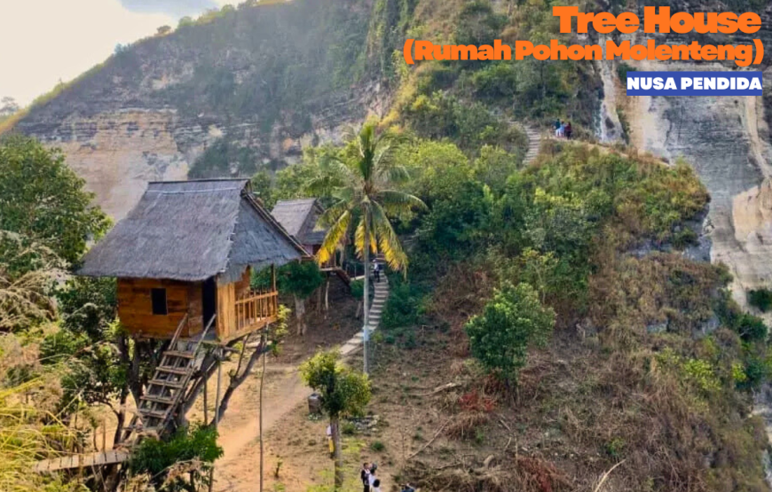 WEST & EAST NUSA PENIDA TOUR