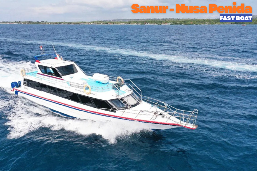 BALI WEST NUSA PENIDA TOUR