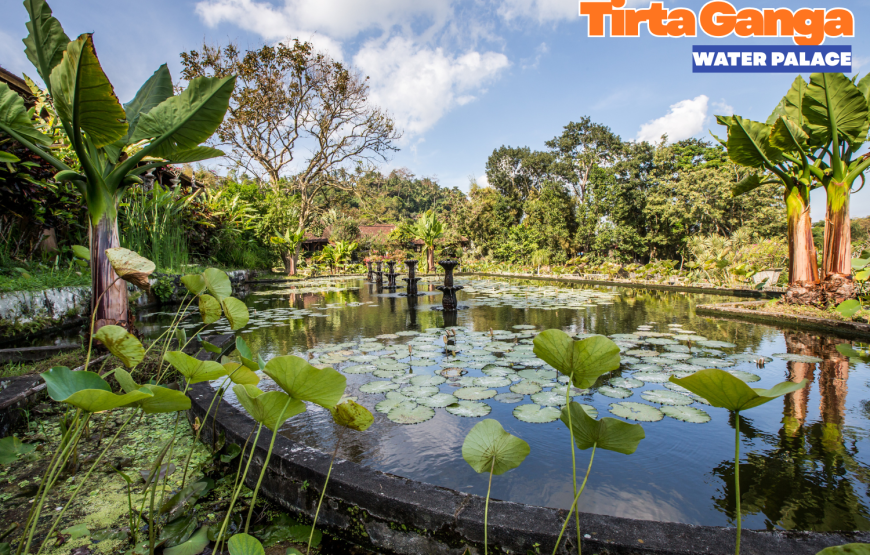 Bali Dream Honeymoon Package 8 Days / 7 Nights