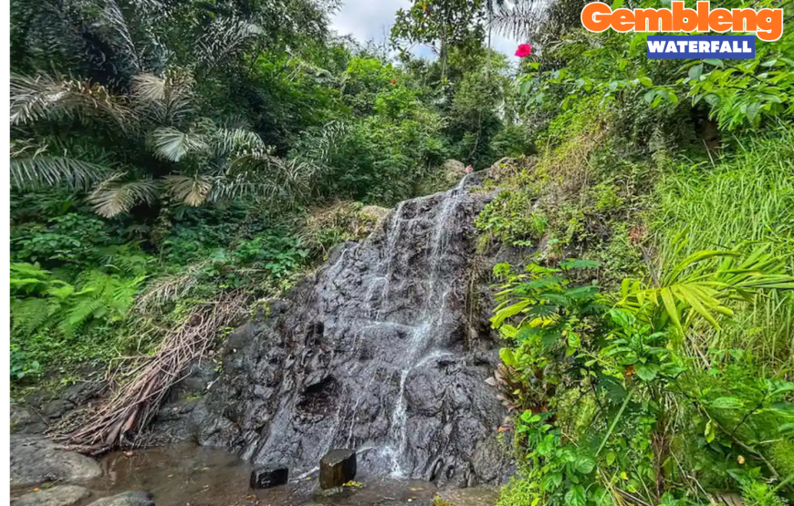 Bali Dream Honeymoon Package 8 Days / 7 Nights