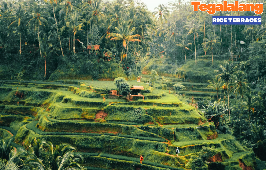 Bali Dream Honeymoon Package 8 Days / 7 Nights