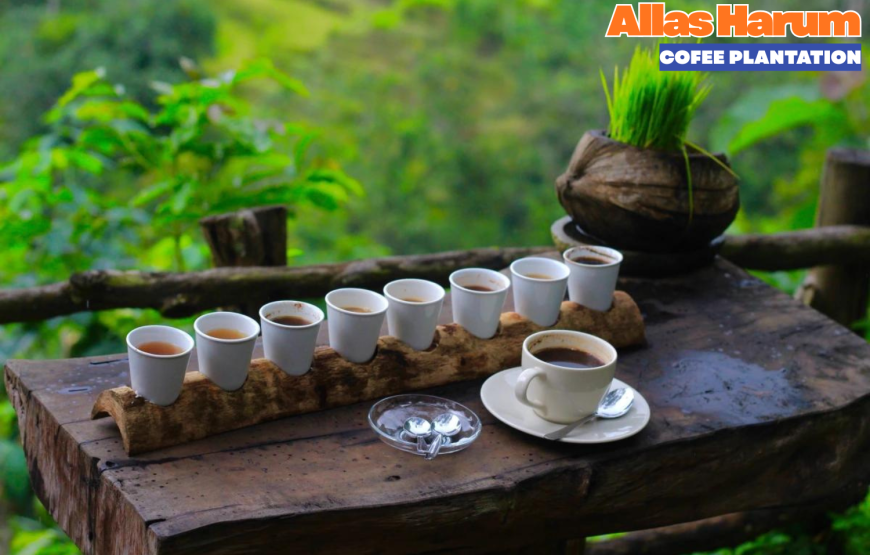 Bali Dream Honeymoon Package 8 Days / 7 Nights